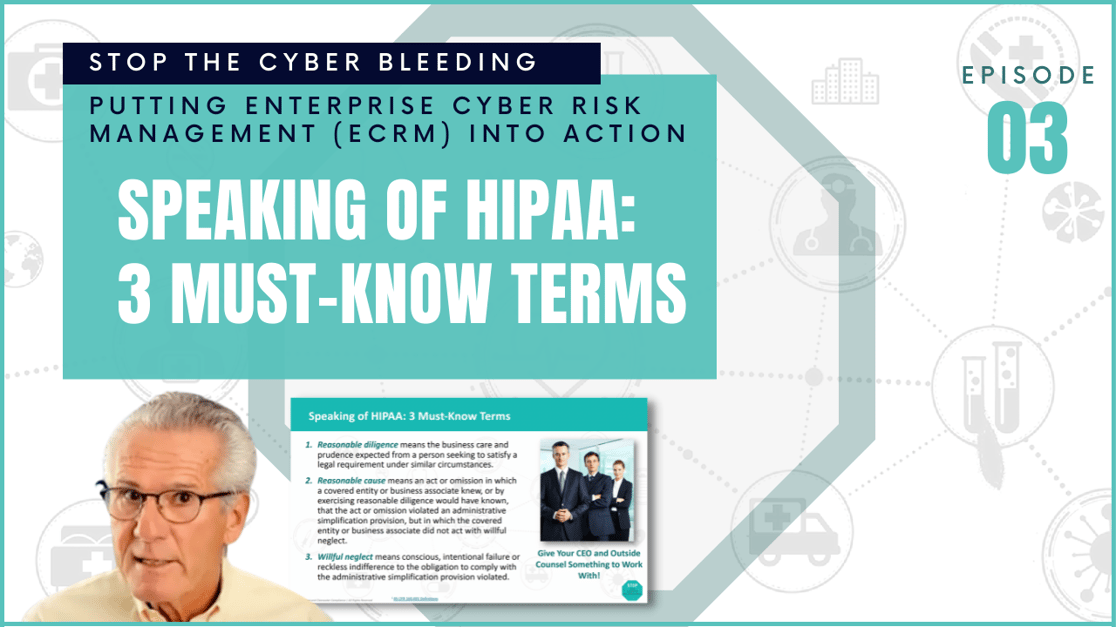 Putting Enterprise Cyber Risk Management Into Action You Tube Series