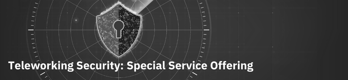 Teleworking Security: Special Service Offering